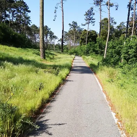 Confort - Furadouro Villa